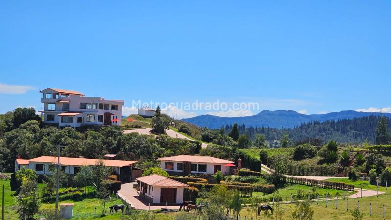 Finca En Venta, Vereda Sucunchoque - Imagen 1